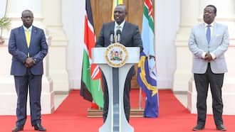 Kenyans to Spend over KSh 321 Million on 7 Extra Principal Secretaries in William Ruto's Administration
