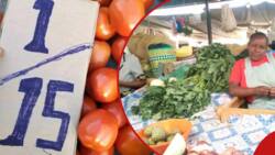 Tomato Prices Soar As Heavy Rains Pound Most Parts of Country: "Nyanya Nusu KSh 20"