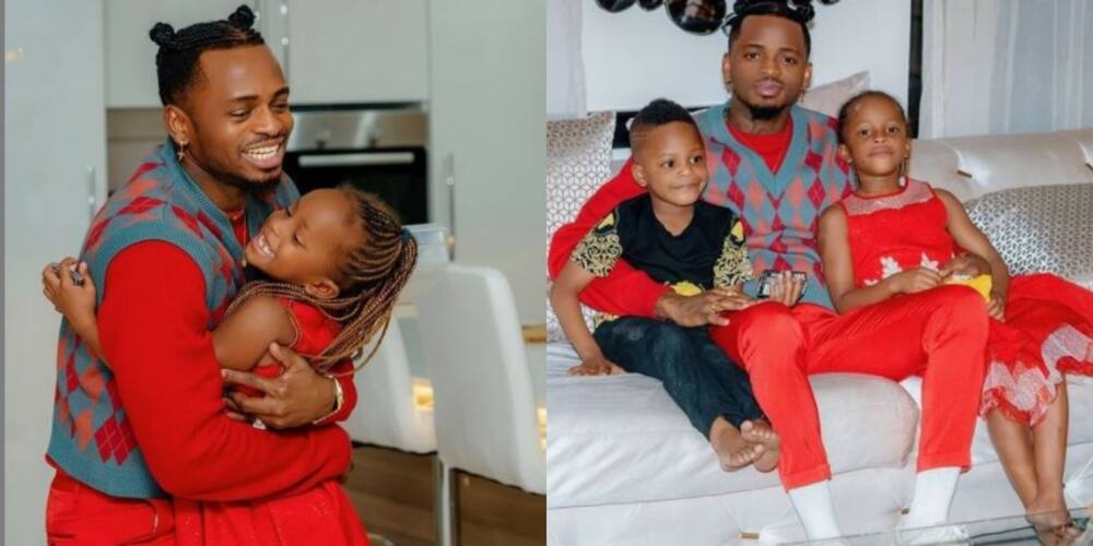 Zari Hassan Bids Diamond Goodbye with Touching Message: "We Love You"