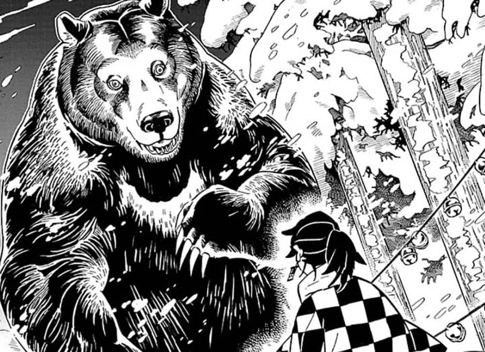 Tanjiro Kamado - Bear Bones Miraheze