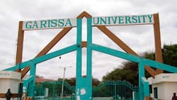 Garissa University Staff Arrested for Forging Papers Sets Up Colleagues: "Almost Everyone"