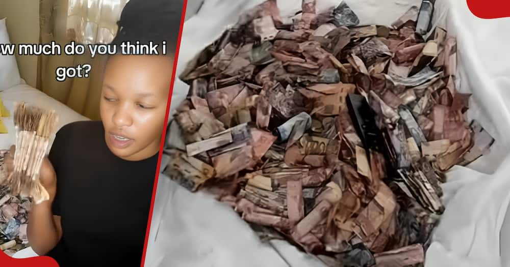 Kenyan TikToker inspired many after showing off the notes she has been saving for six months.