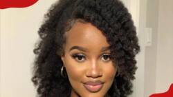 20 easy hairstyles for natural hair that are cute and protective