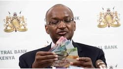 Wealthy Kenyans Hold Nearly KSh 1 Trillion in Dollar Accounts, CBK Report