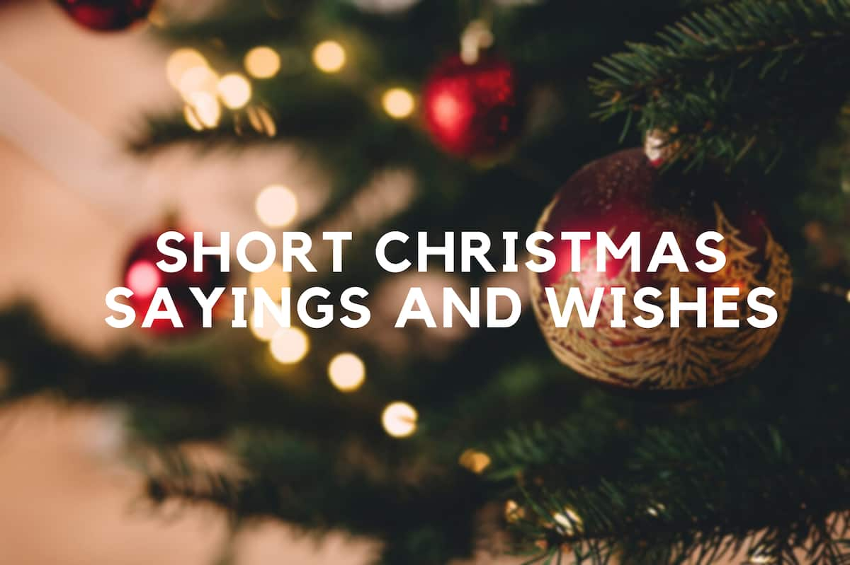 100+ short Christmas sayings and wishes to send friends &amp; family