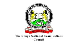 KNEC portal in Kenya: exams, results, registration and guides