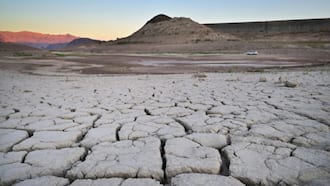 Climate impacts set to cut 2050 global GPD by nearly a fifth