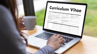 Focus on Accomplishments: Professional CV Writer Gives Top Tips for Writing a Good CV to Get You Hired in 2022