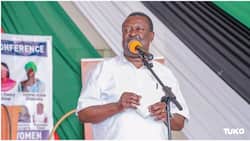 Blame Former Government for High Cost of Living, Musalia Mudavadi Tells Opposition