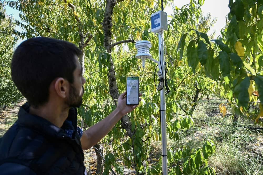 A new generation of Greek farmers see high technology as key to their ailing sector