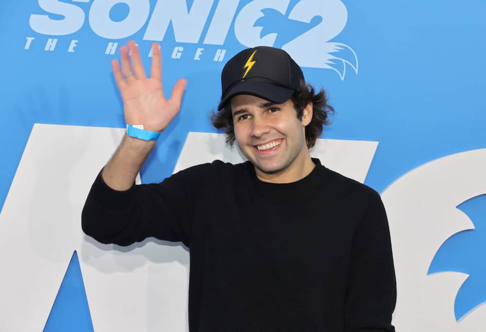 What happened to David Dobrik