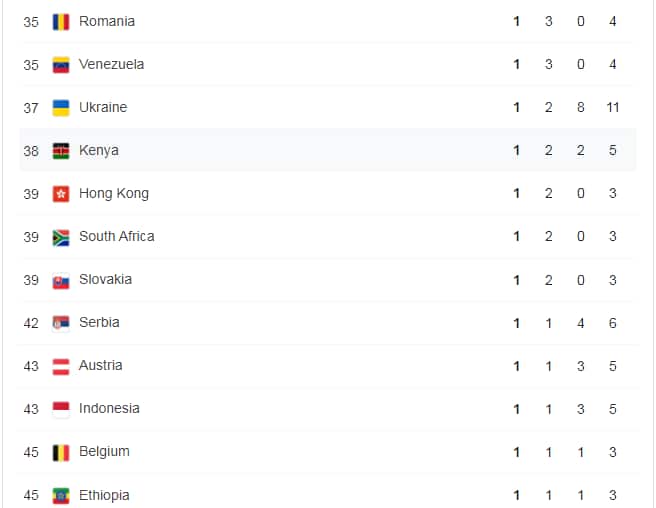 Tokyo Olympics Medal Standings. Photo: Google.