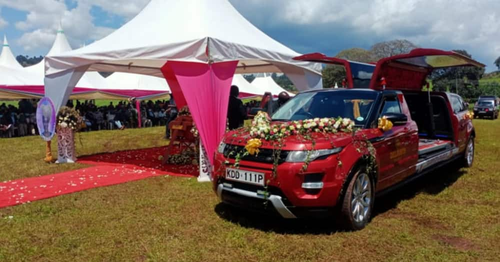 Posh limousine. Photo: KBC TV.