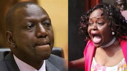 Millie Odhiambo recalls learning with Ruto at UoN: "He was cruising in vehicles"