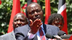 Kalonzo Musyoka Blames William Ruto's Gov't after Court Halted Implementation of NADCO: "Lies"