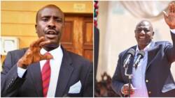 Lawyer Danstan Omari Claims William Ruto Is Local President: "Uhuru, Raila Control Global Networks"