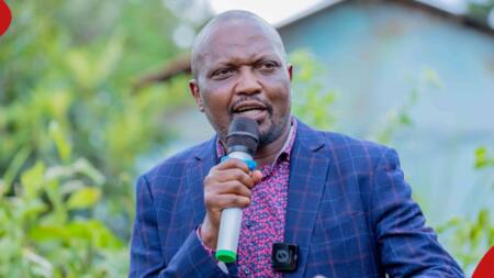 Moses Kuria Insists Civil Servants Must Be Hired on Contract: "Even President is on Contract"