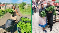 Woman, 24, Who Ventured In Farming Flaunts Her Success Selling to Big Supermarkets, Stirs Reactions