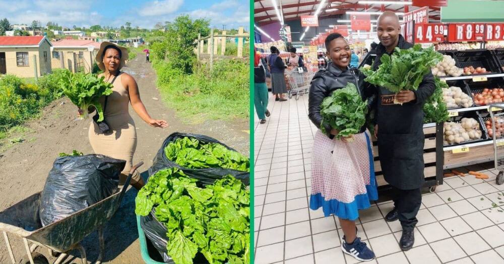 A 24-year-old South African woman Abo Yetse inspired many online after her story of becoming a successful young farmer went viral.
