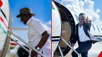 Eddie Butita Accompanies William Ruto to US for State Visit: "We're Happy"