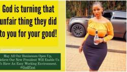 Anerlisa Muigai Prays William Ruto Creates Easy Working Environment for Entrepreneurs