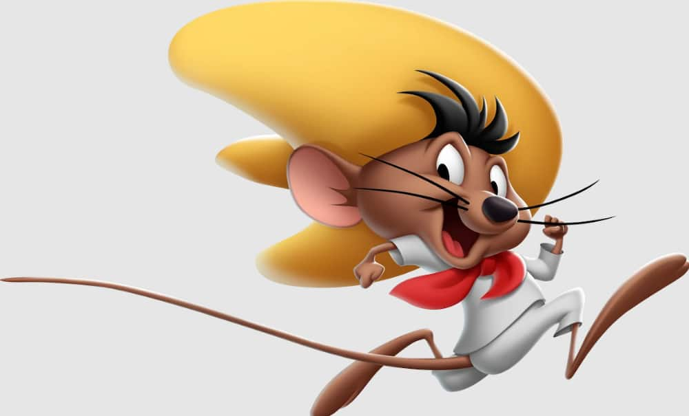 CARTOON ANIMATION) WARNER BROTHERS STUDIOS Speedy Gonzale