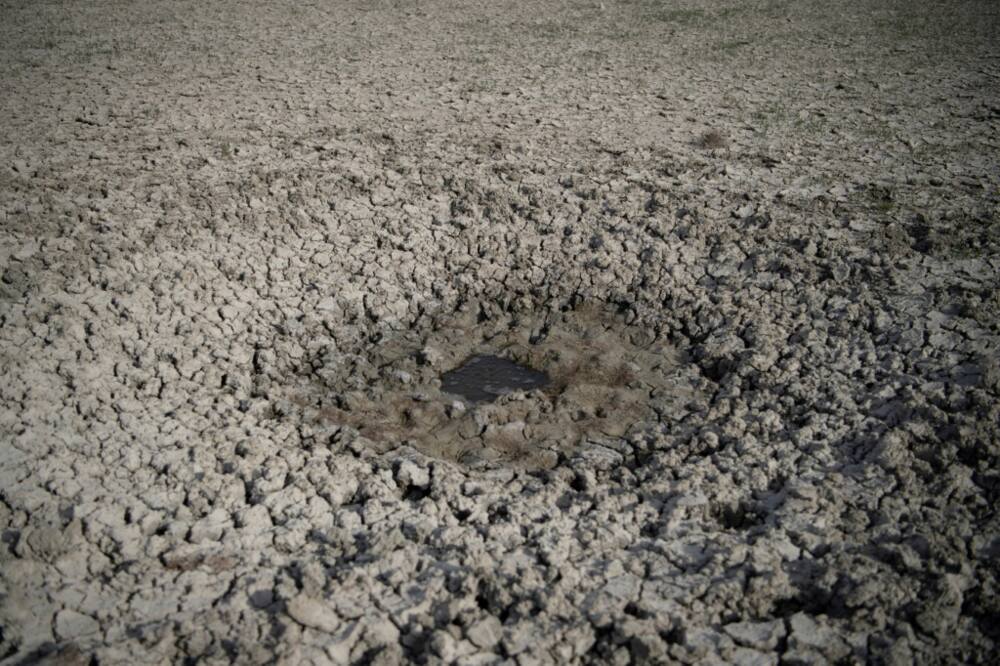 A waterhole at Spain's Donana Natural Park which is feeling the effects of a prolonged drought