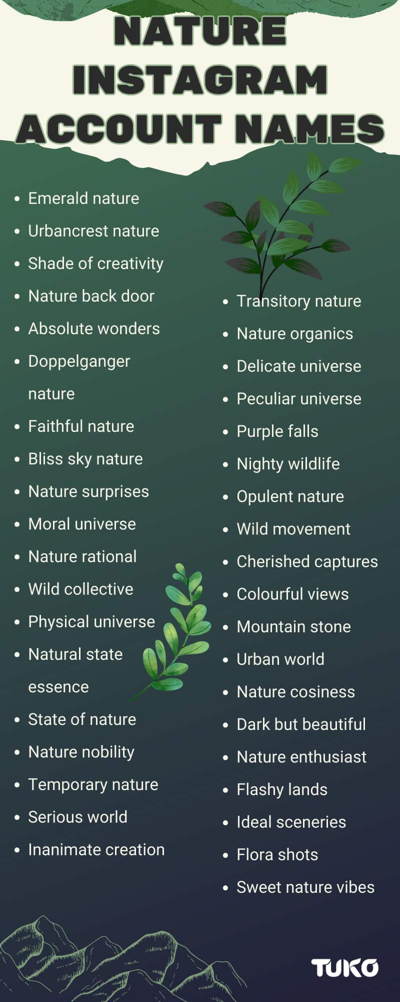 Nature Instagram account names