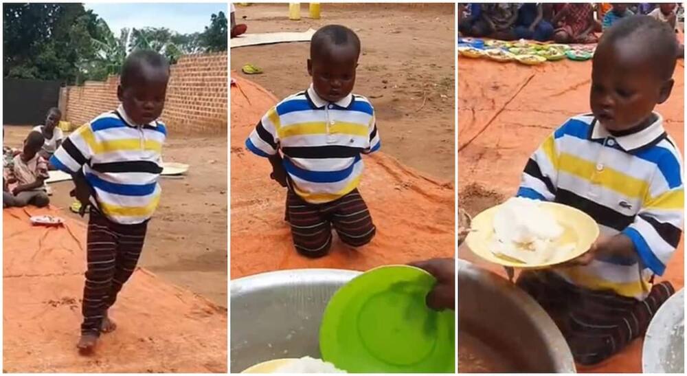 She meekly knelt to get her food. Photo: TikTok/@rosehousefoundation.