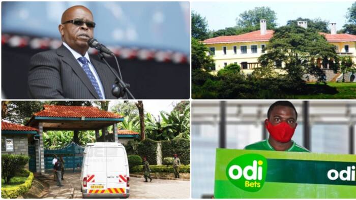 List of Properties and Businesses Owned by Jimmy Kibaki