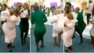 Kenyan Women Show Off Impeccable Moves to Viral Song Vaida During Wedding Reception: "It Is Lit"