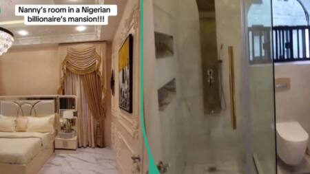 Reactions as Lady Displays Lavish Room Meant for Billionaire's Nanny, Invites Applicants
