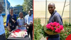 Valentine's Day 2024: List of Kenyan Companies Celebrating Staff, Customers on Lover's Day
