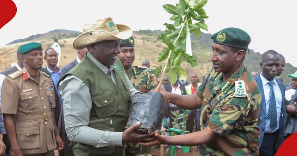 President William Ruto (l) at a past tree-planting exercise in Nairobi.