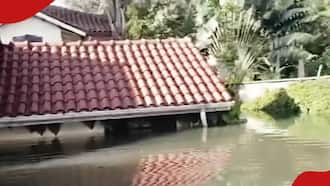 Kenyans Pity Owner of Exquisite Runda Mansion Submerged by Floods: "The Rich Also Cry"