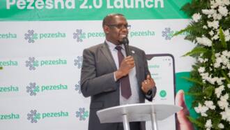 Pezesha Africa Launches Pezesha 2.0, Micro SME Financing Platform