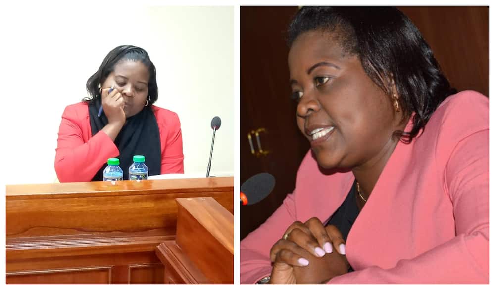 Nairobi county education CEC name roughed up by MCAs over delayed bursaries