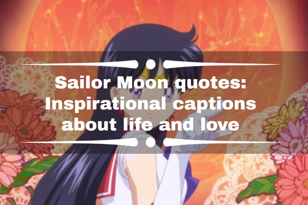 Sailor Moon quotes