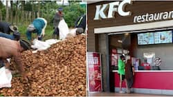 Nyandarua County Inks Deal with KFC to Produce Potatoes for Franchise, Global Markets