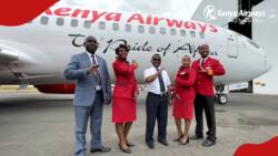 Kenya Airways Announces Flight Attendant Jobs for Kenyans with Minimum Qualification of KCSE Certificate
