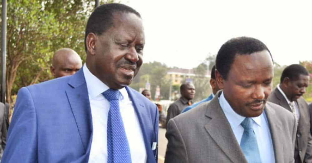 ODM leader Raila Odinga (l) and Kalonzo Musyoka (r) in a past address. Photo: ODM.