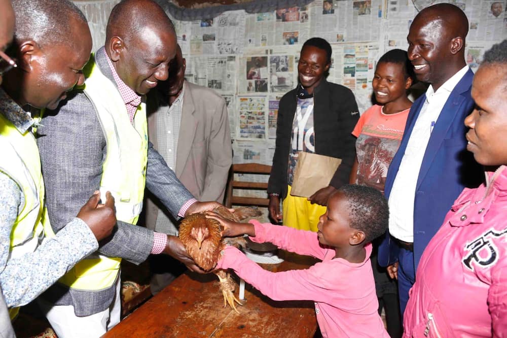 77-year-old Nyamira widower gifts William Ruto chicken for lighting up home