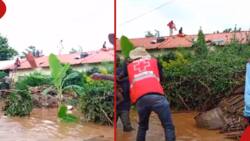 Taita Taveta: 4 Killed, Homes Submerged after Voi River Bursts Its Banks