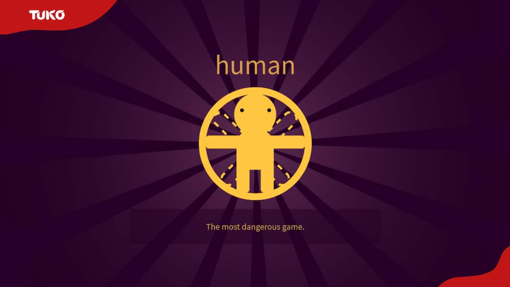 A screenshot of the 'human' item in Little Alchemy 2.