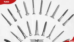 Different types of screws and how to use them (with images)
