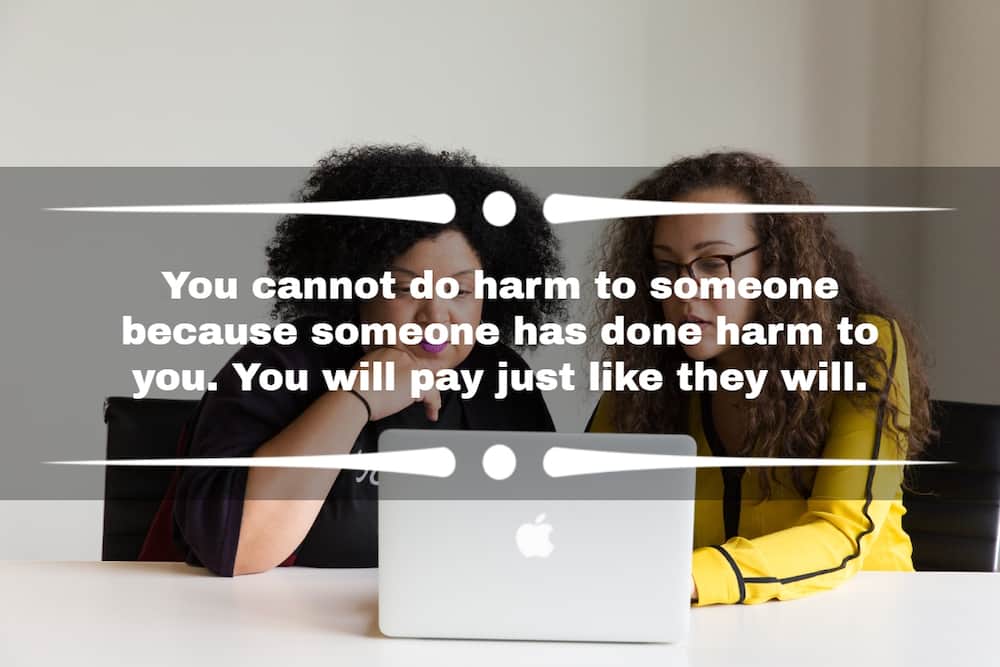 sarcastic quotes on fake people