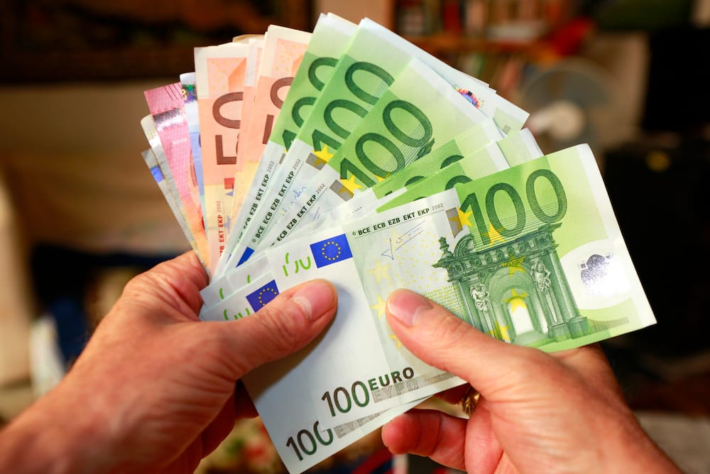 A person holding euro notes.