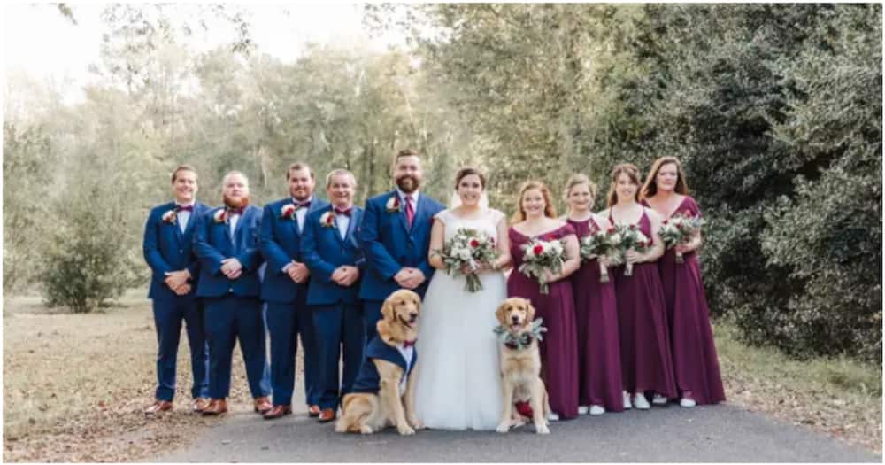 Couple uses their dog dressed in tuxedo as ring bearer at wedding