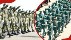 NYS recruitment 2024, courses offered and intake requirements