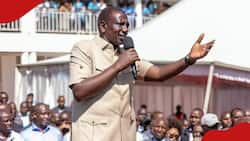 William Ruto Declares Total War against Illicit Brew: "Mambo ya Pombe Tutazima"